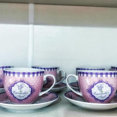 Apartman Lavanda Banja Koviljača 外观 照片