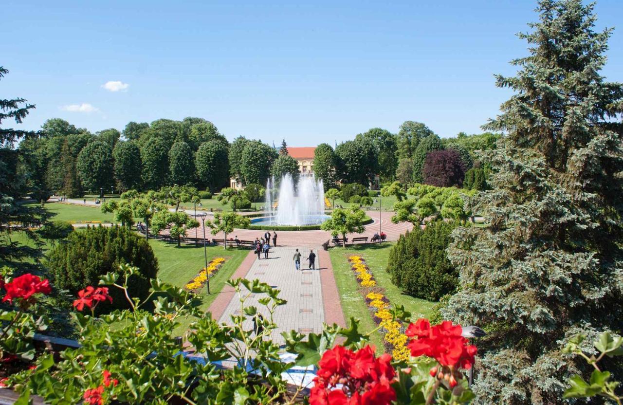 Apartman Lavanda Banja Koviljača 外观 照片