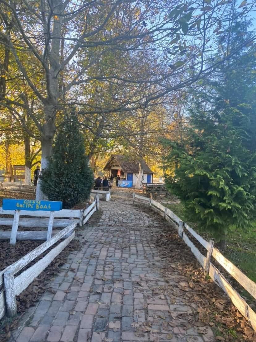 Apartman Lavanda Banja Koviljača 外观 照片