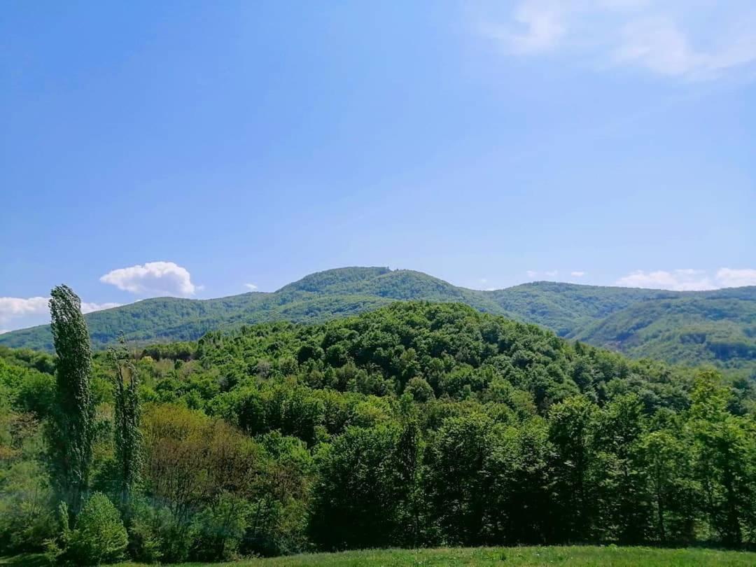 Apartman Lavanda Banja Koviljača 外观 照片