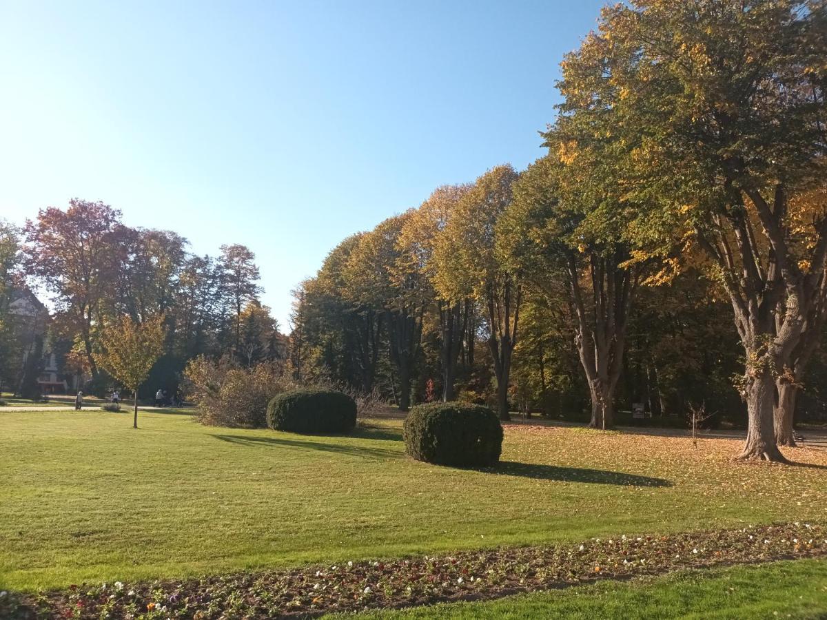 Apartman Lavanda Banja Koviljača 外观 照片